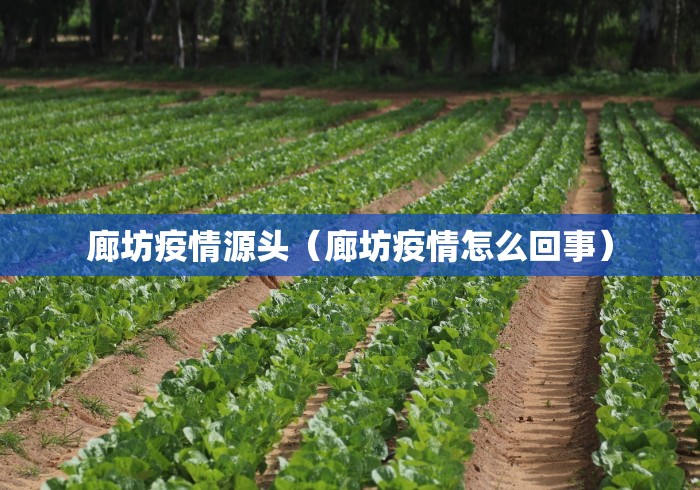 廊坊疫情源头(廊坊疫情怎么回事) 廊坊疫情源头(廊坊疫情怎么回事)