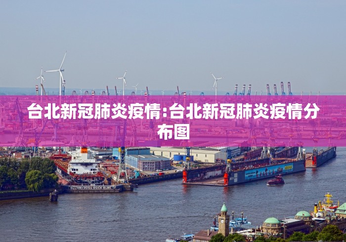 台北新冠肺炎疫情:台北新冠肺炎疫情分布图