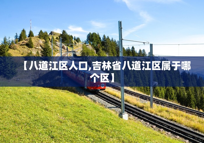 【八道江区人口,吉林省八道江区属于哪个区】