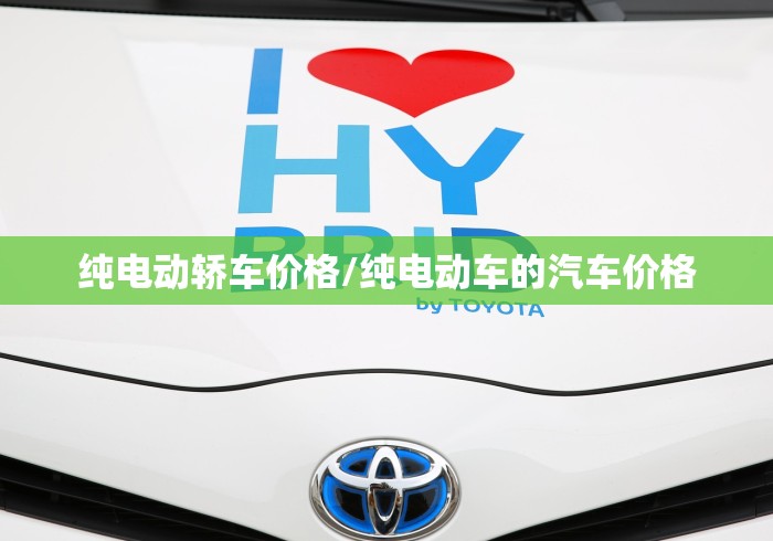 纯电动轿车价格/纯电动车的汽车价格 纯电动轿车价格/纯电动车的汽车价格