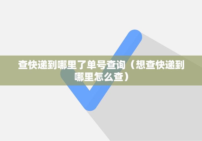 查快递到哪里了单号查询（想查快递到哪里怎么查）