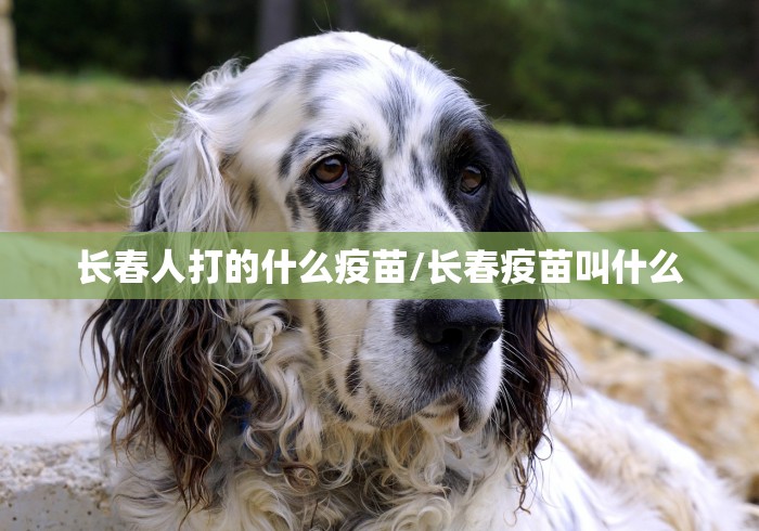 长春人打的什么疫苗/长春疫苗叫什么