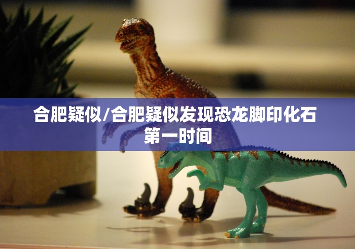 合肥疑似/合肥疑似发现恐龙脚印化石 第一时间