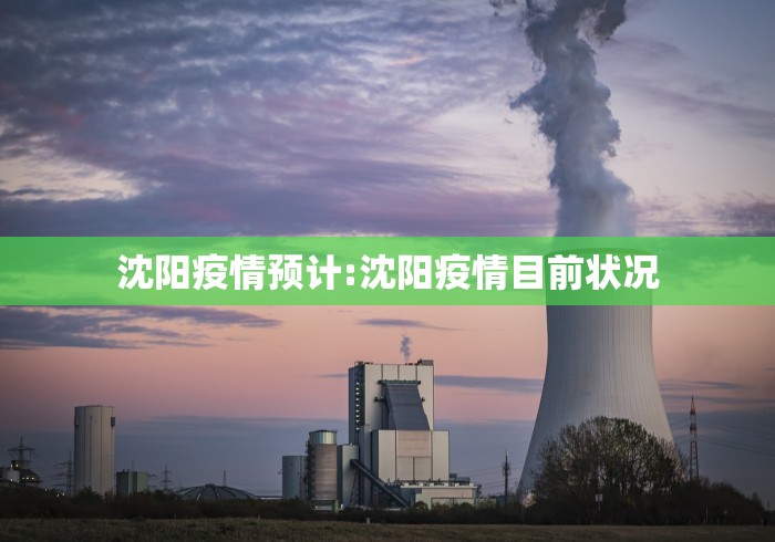 沈阳疫情预计:沈阳疫情目前状况
