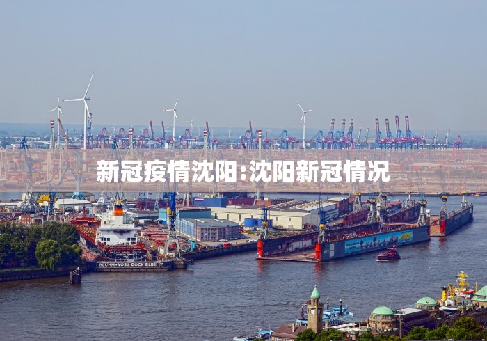 新冠疫情沈阳:沈阳新冠情况 新冠疫情沈阳:沈阳新冠情况