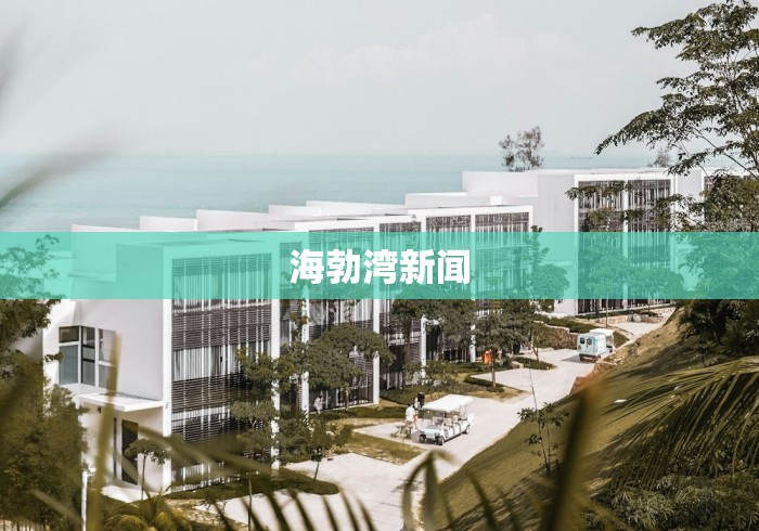 海勃湾新闻