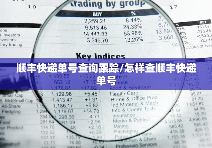 顺丰快递单号查询跟踪/怎样查顺丰快递单号
