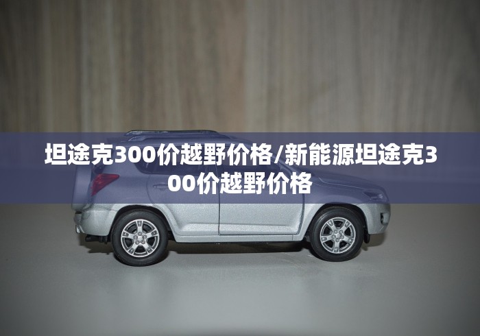 坦途克300价越野价格/新能源坦途克300价越野价格