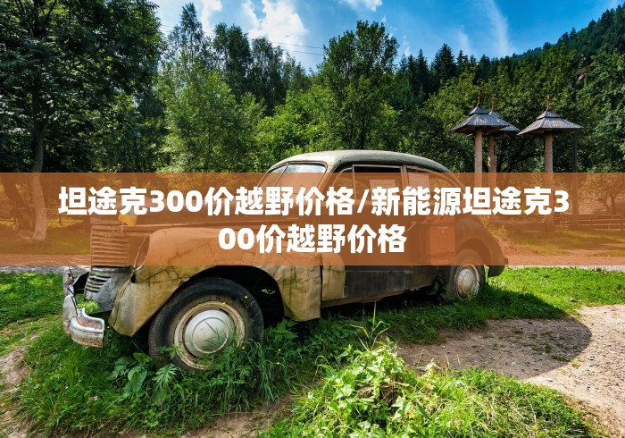 坦途克300价越野价格/新能源坦途克300价越野价格
