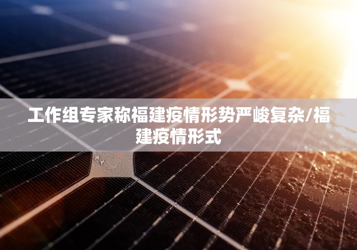 工作组专家称福建疫情形势严峻复杂/福建疫情形式