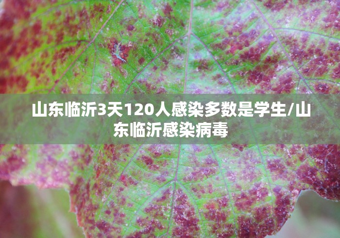 山东临沂3天120人感染多数是学生/山东临沂感染病毒 山东临沂3天120人感染多数是学生/山东临沂感染病毒