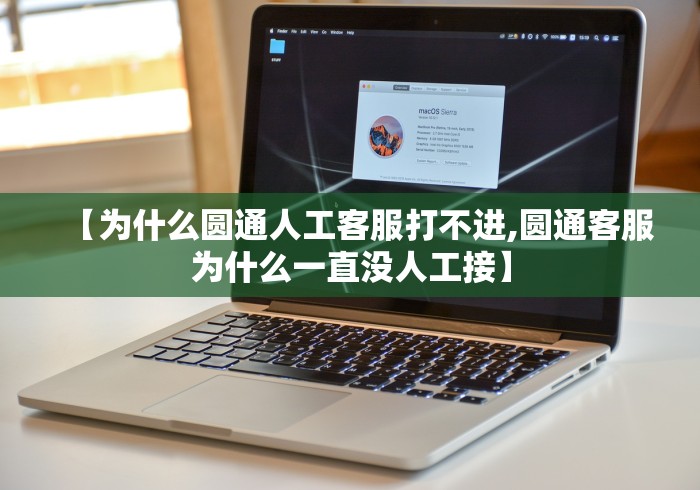 【为什么圆通人工客服打不进,圆通客服为什么一直没人工接】