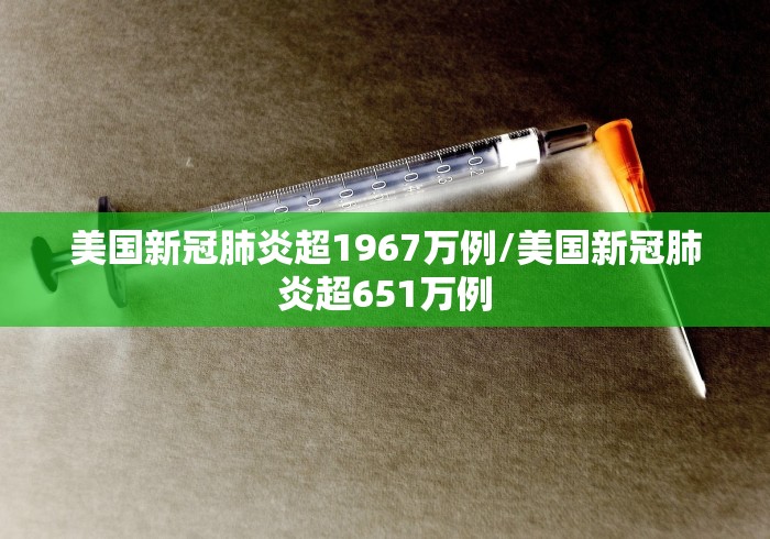 美国新冠肺炎超1967万例/美国新冠肺炎超651万例