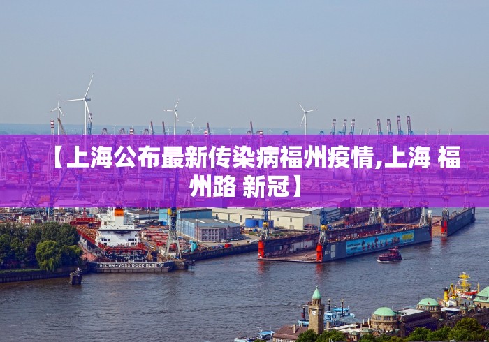 【上海公布最新传染病福州疫情,上海 福州路 新冠】