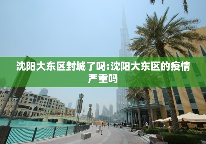 沈阳大东区封城了吗:沈阳大东区的疫情严重吗