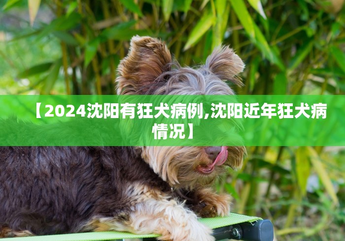 【2024沈阳有狂犬病例,沈阳近年狂犬病情况】