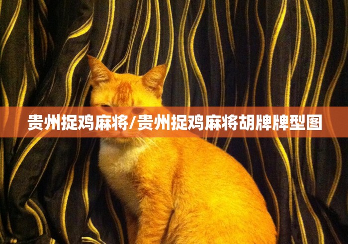 贵州捉鸡麻将/贵州捉鸡麻将胡牌牌型图