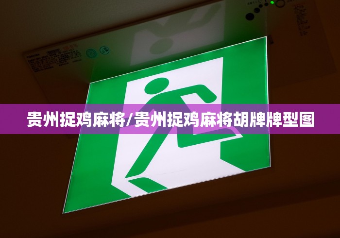 贵州捉鸡麻将/贵州捉鸡麻将胡牌牌型图