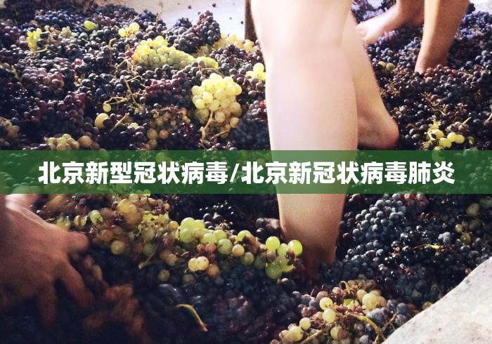 北京新型冠状病毒/北京新冠状病毒肺炎