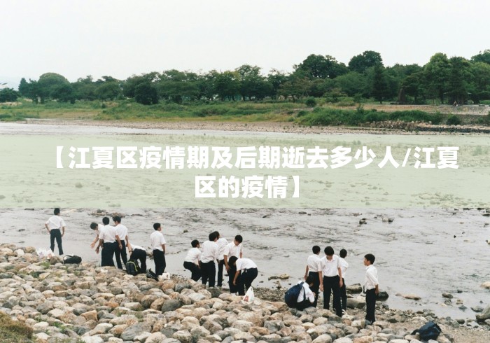 【江夏区疫情期及后期逝去多少人/江夏区的疫情】