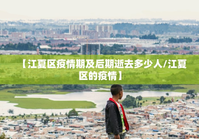 【江夏区疫情期及后期逝去多少人/江夏区的疫情】