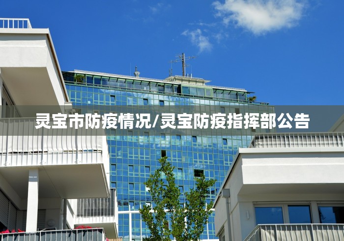 灵宝市防疫情况/灵宝防疫指挥部公告