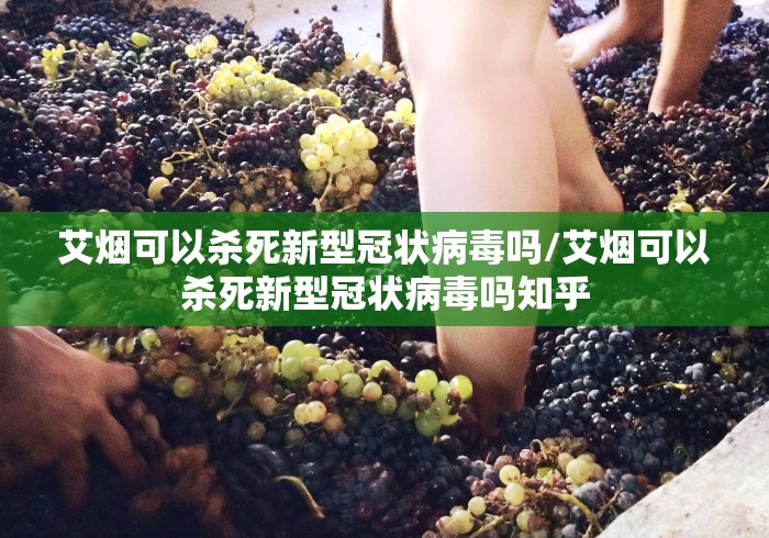 艾烟可以杀死新型冠状病毒吗/艾烟可以杀死新型冠状病毒吗知乎