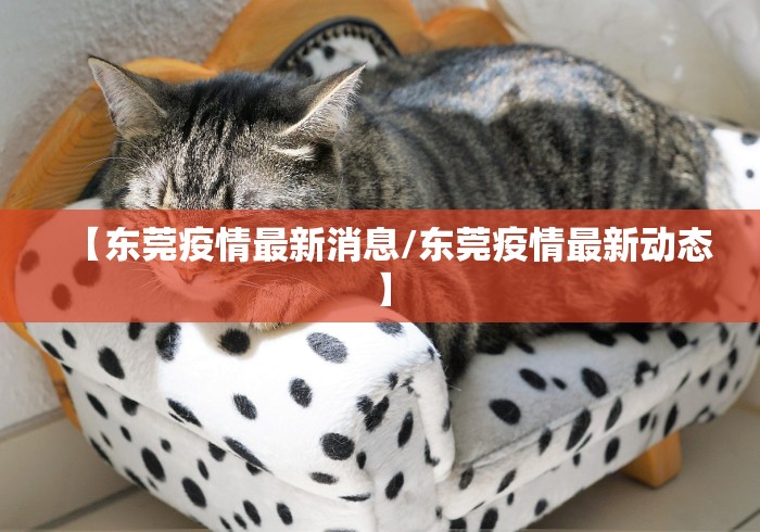 【东莞疫情最新消息/东莞疫情最新动态】