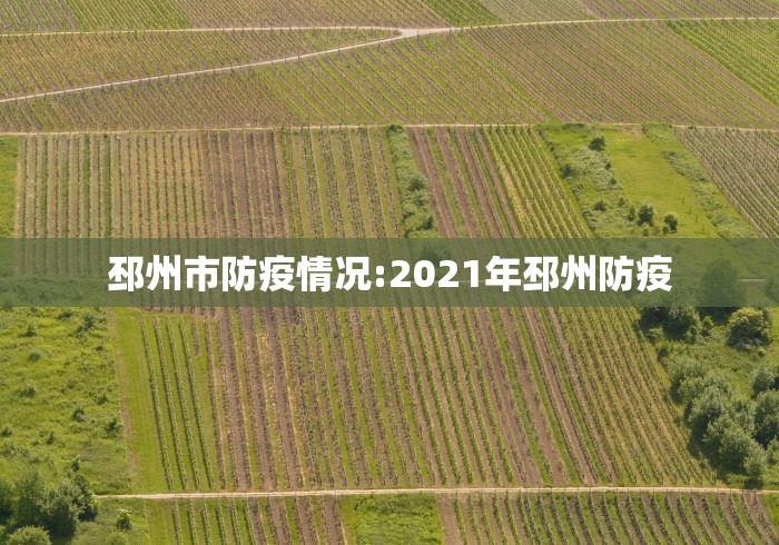 邳州市防疫情况:2021年邳州防疫