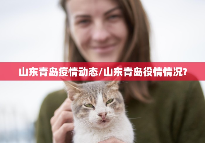 山东青岛疫情动态/山东青岛役情情况?