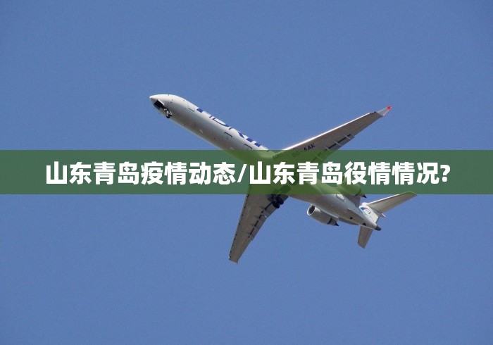 山东青岛疫情动态/山东青岛役情情况?