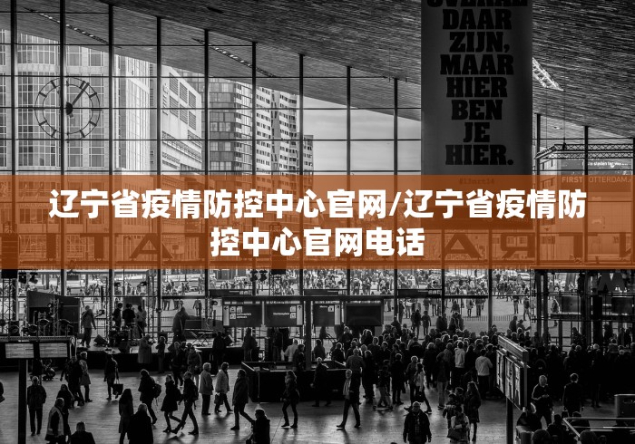 辽宁省疫情防控中心官网/辽宁省疫情防控中心官网电话