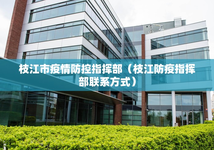 枝江市疫情防控指挥部（枝江防疫指挥部联系方式）
