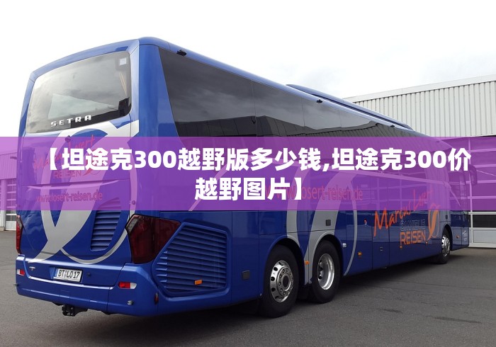 【坦途克300越野版多少钱,坦途克300价越野图片】