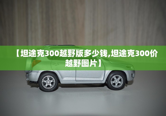 【坦途克300越野版多少钱,坦途克300价越野图片】