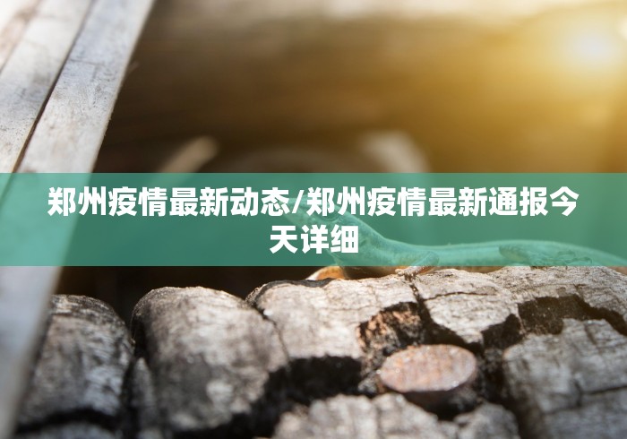 郑州疫情最新动态/郑州疫情最新通报今天详细