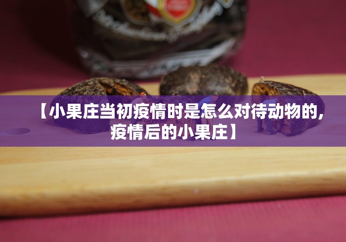 【小果庄当初疫情时是怎么对待动物的,疫情后的小果庄】