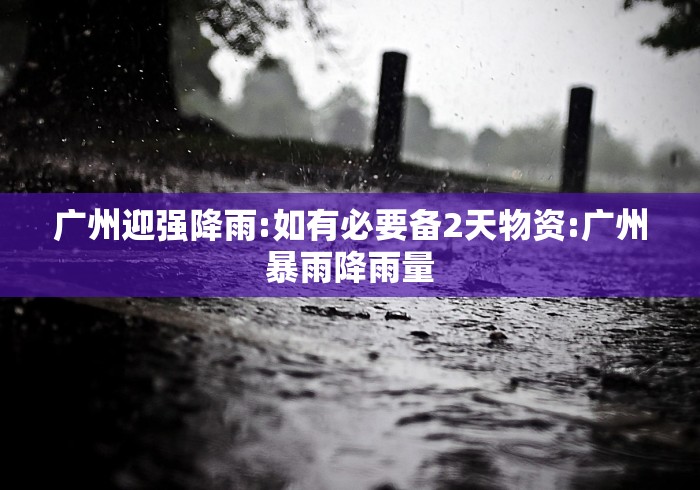 广州迎强降雨:如有必要备2天物资:广州暴雨降雨量