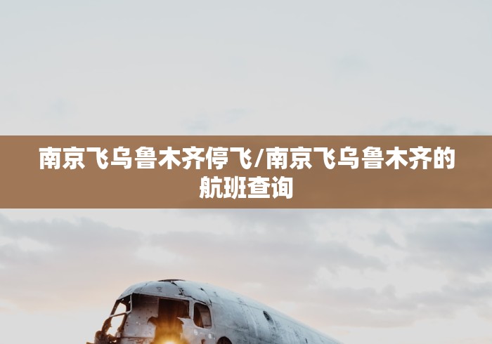 南京飞乌鲁木齐停飞/南京飞乌鲁木齐的航班查询