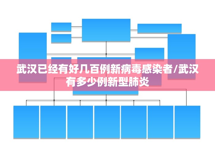 武汉已经有好几百例新病毒感染者/武汉有多少例新型肺炎