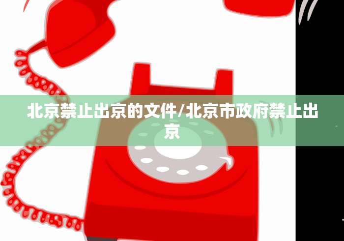 北京禁止出京的文件/北京市政府禁止出京