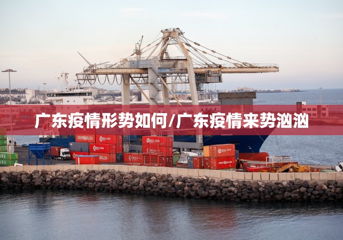 广东疫情形势如何/广东疫情来势汹汹 广东疫情形势如何/广东疫情来势汹汹