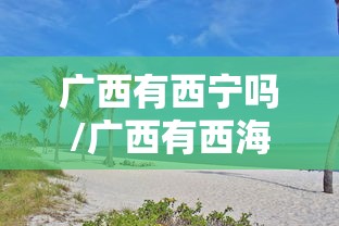 广西有西宁吗/广西有西海吗