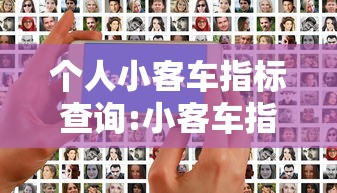 个人小客车指标查询:小客车指标查询