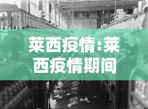 莱西疫情:莱西疫情期间蔬菜配送 莱西疫情:莱西疫情期间蔬菜配送