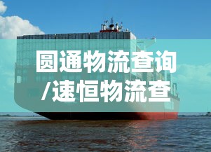圆通物流查询/速恒物流查询单号