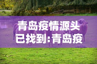 青岛疫情源头已找到:青岛疫情源头在哪儿?