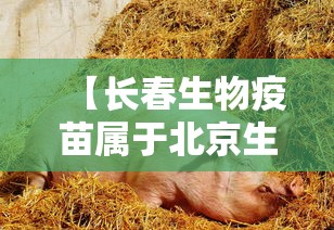 【长春生物疫苗属于北京生物吗/长春生物疫苗和北京生物疫苗是一家吗】