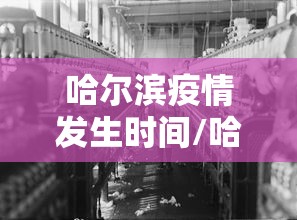 哈尔滨疫情发生时间/哈尔滨疫情起因图