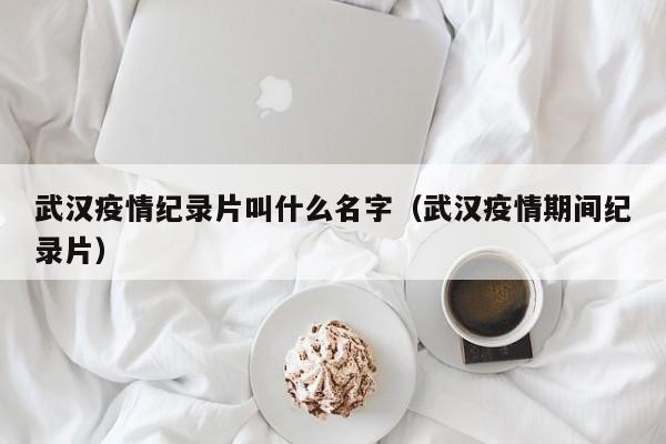 武汉疫情纪录片叫什么名字（武汉疫情期间纪录片）